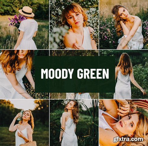 Psd Stack - Moody Green Lightroom Preset