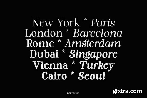 CreativeMarket - DS Quilter Variable Serif Font