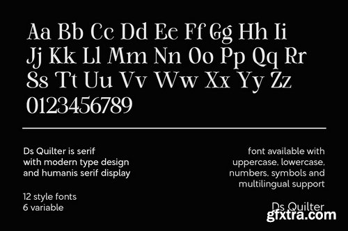 CreativeMarket - DS Quilter Variable Serif Font