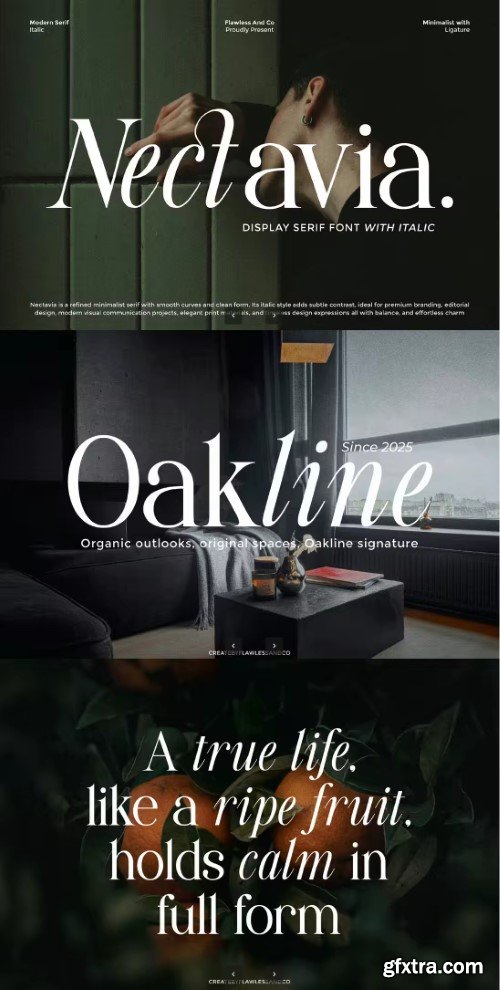 Creativemarket - Nectavia - Display Serif Font