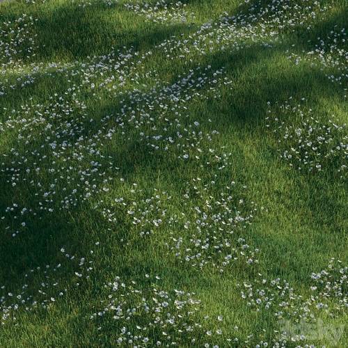 '3dsky Pro - Grass with anemone flowers'