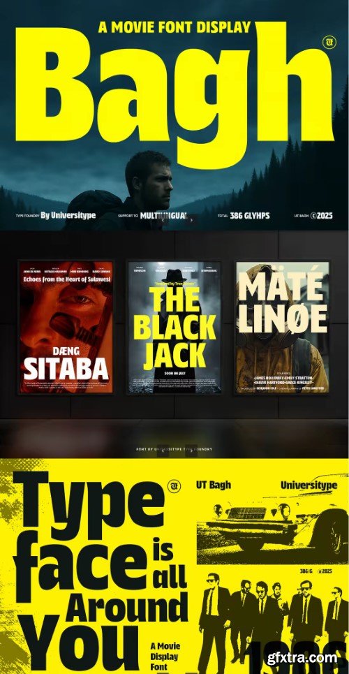 Bagh Display - A Movie Display Font