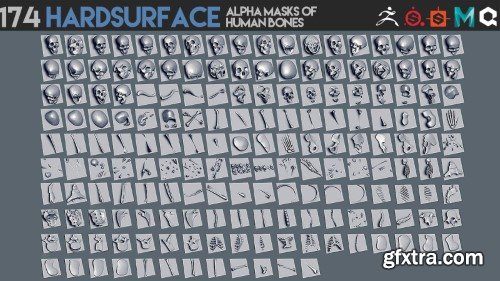 Artstation - 174 Hardsurface alpha masks of human bones