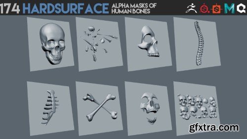 Artstation - 174 Hardsurface alpha masks of human bones