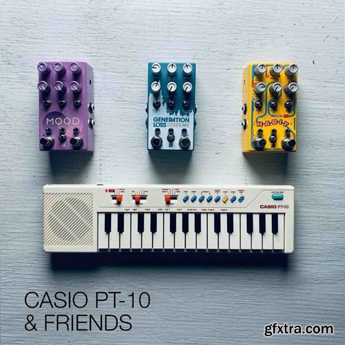 David Hilowitz Casio PT-10 and Friends by Decent Samples v1.1 [Decent Sampler]
