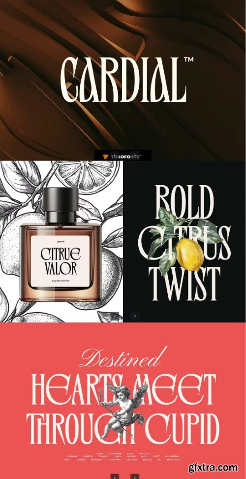 Cardial - Elegant Brand Font