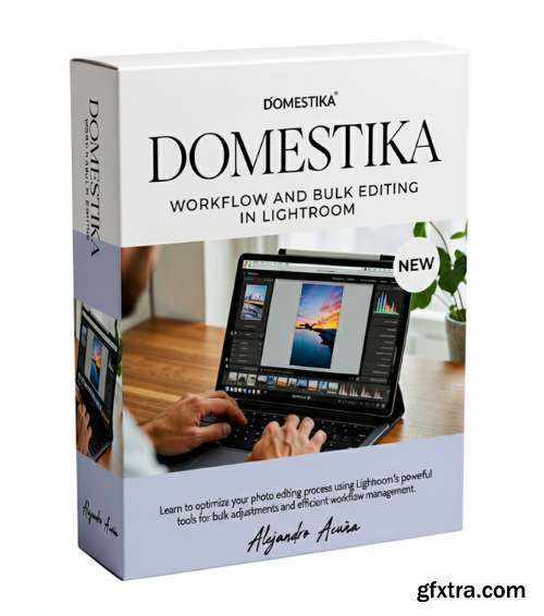 Domestika - Workflow and Bulk Editing in Lightroom