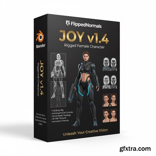 FlippedNormals - JOY v1.4 - Rigged Female Character