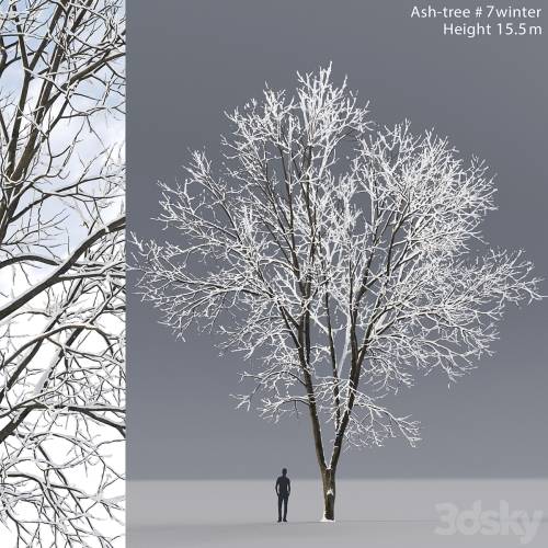 '3dsky Pro - Ash winter'