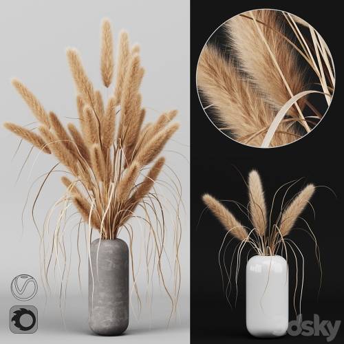 '3dsky Pro - A bunch of Pampas 2'
