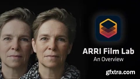 RE:VisionFX ARRI Film Lab v1.0.2