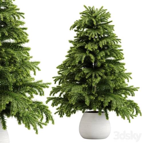 '3dsky Pro - indoor plant Set 18' '3dsky Pro - indoor plant Set 18'