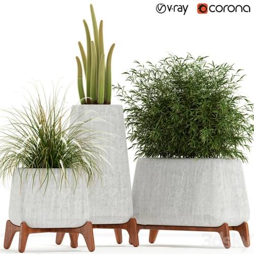 '3dsky Pro - Plants collection 128 indigenus terra' '3dsky Pro - Plants collection 128 indigenus terra'