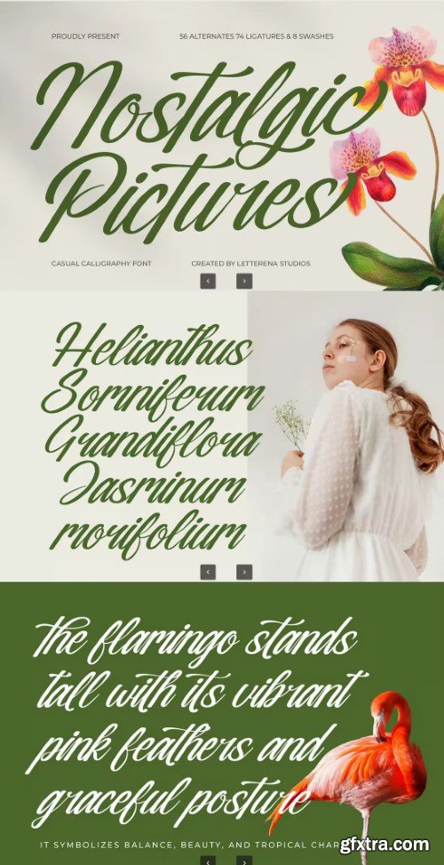 Nostalgic Pictures Font