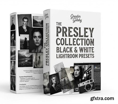 Greater than Gatsby - The Presley Collection Black & White Lightroom Presets