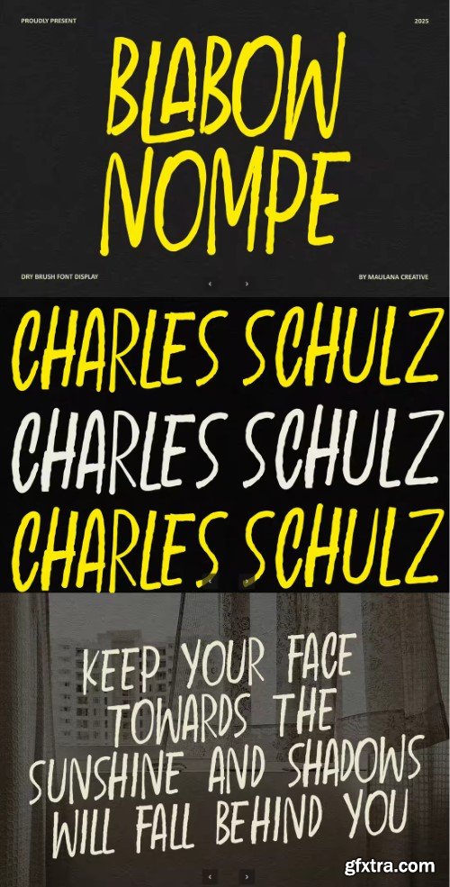 Blabow Nompe Bold Dry Brush Display