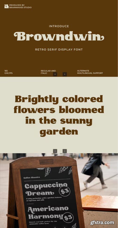 Browndwin Serif Font
