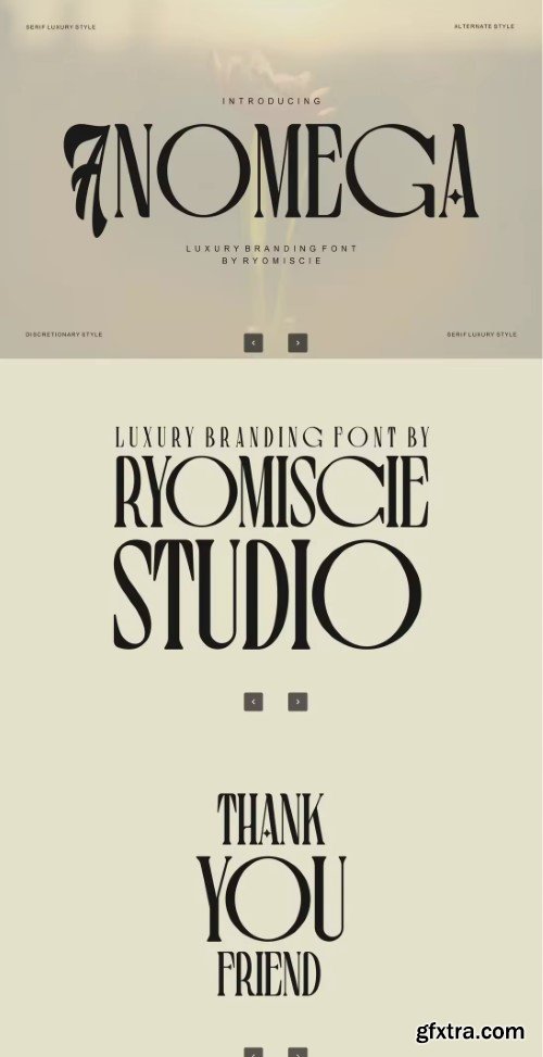 Anomega Serif Branding Font