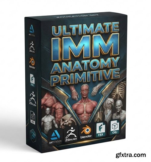 Artstation - Ultimate IMM Anatomy Primitive