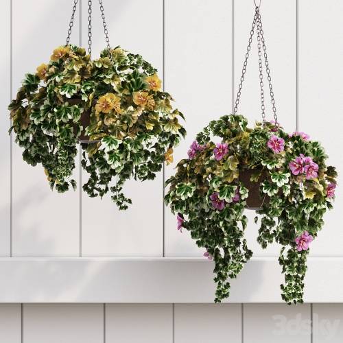 '3dsky Pro - Ornamental Flowerpot'