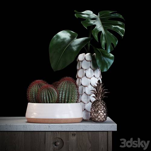 '3dsky Pro - Set decoration with red cactus'