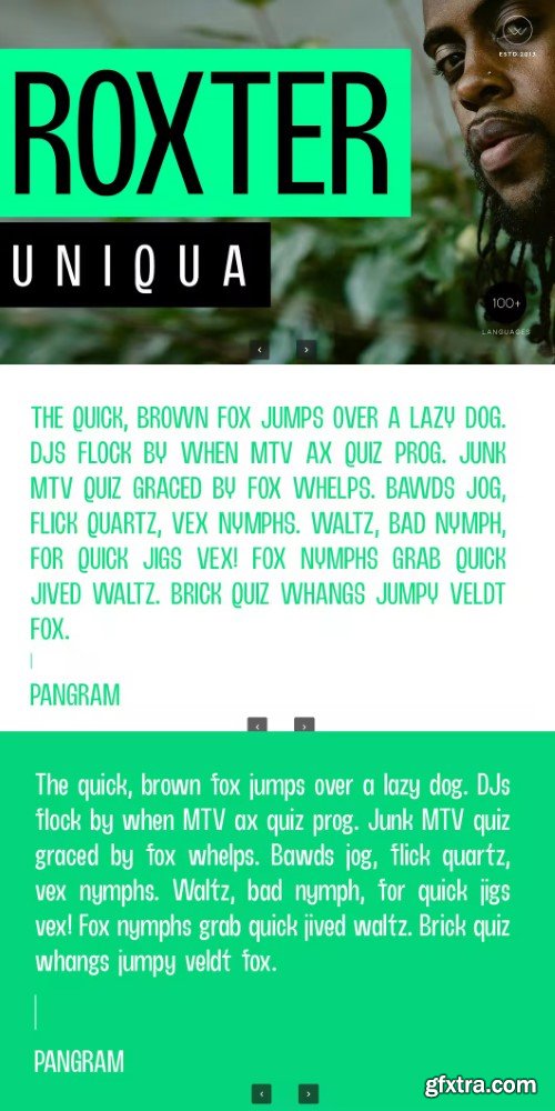 Roxter – Modern Display Typeface