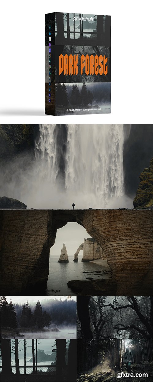 GradeFruit - Dark Forest LUTs &amp; LR Presets