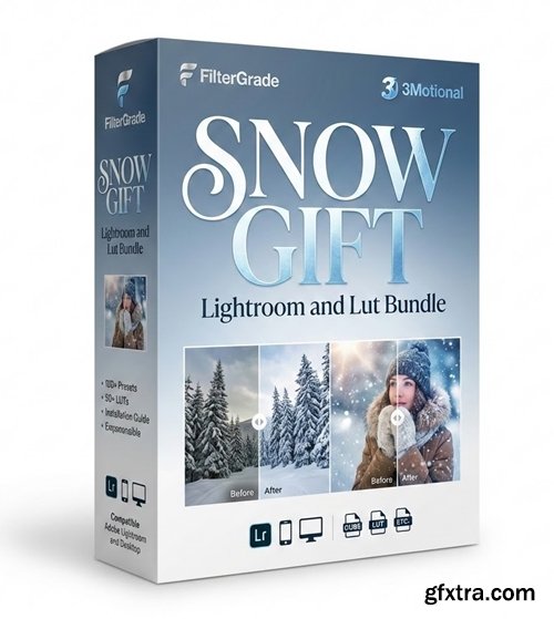 FilterGrade - Snow Gift Lightroom and Lut Bundle
