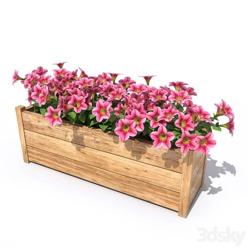 '3dsky Pro - Petunia' '3dsky Pro - Petunia'