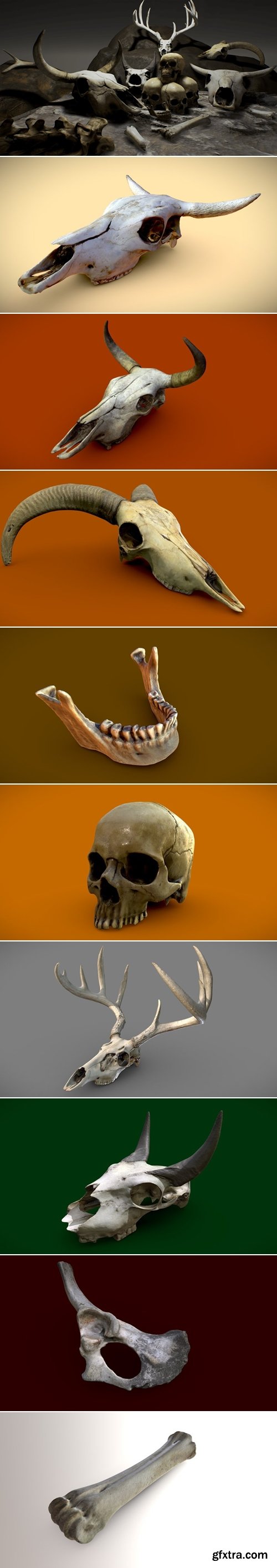 Sketchfab - Skulls And Bones