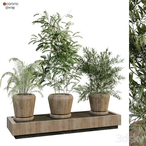 '3dsky Pro - green plant box 269'