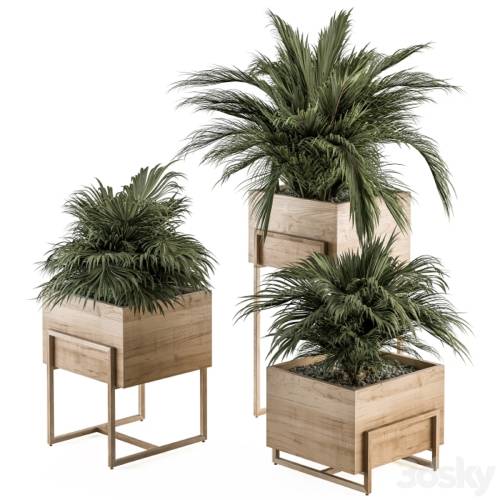 '3dsky Pro - indoor Plant Set 318 - Plant Set in Wood Box'