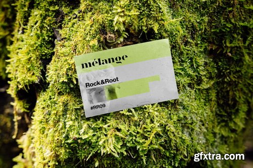 MelangeMockup &ndash; Rock &amp; Root Mockup Collection $107