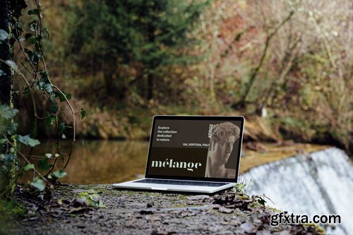 MelangeMockup &ndash; Rock &amp; Root Mockup Collection $107