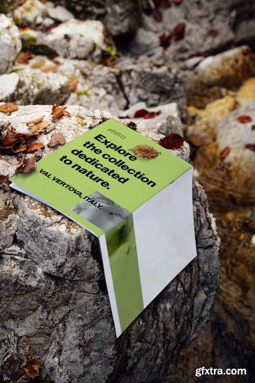 MelangeMockup &ndash; Rock &amp; Root Mockup Collection $107