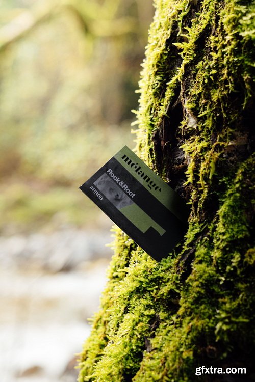 MelangeMockup &ndash; Rock &amp; Root Mockup Collection $107