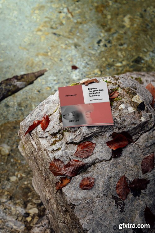 MelangeMockup &ndash; Rock &amp; Root Mockup Collection $107