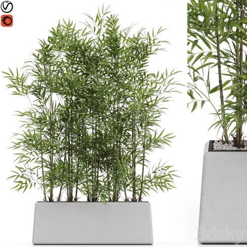 '3dsky Pro - Plants collection 615'