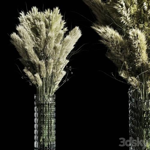'3dsky Pro - Dry Plants pampas Bouquet Indoor glass vase'