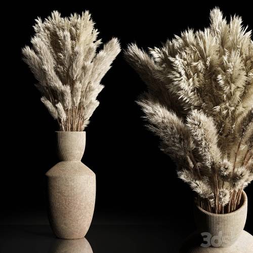 '3dsky Pro - Dry Plants Bouquet Indoor concrete vase' '3dsky Pro - Dry Plants Bouquet Indoor concrete vase'