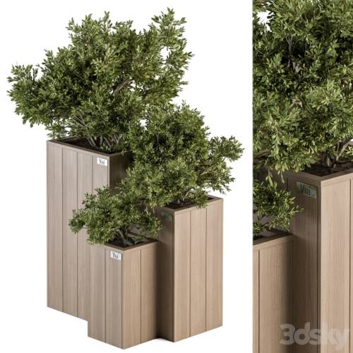 '3dsky Pro - Outdoor Plant Set 298 - Wooden Plant Box' '3dsky Pro - Outdoor Plant Set 298 - Wooden Plant Box'