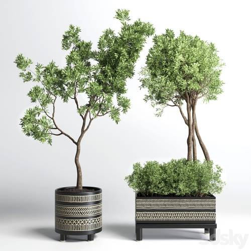'3dsky Pro - Collection Indoor plant 132 vase handmade pottery plant tree pot' '3dsky Pro - Collection Indoor plant 132 vase handmade pottery plant tree pot'