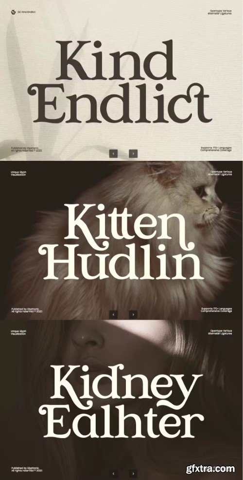 Kind Endlict – Elegant Retro Serif