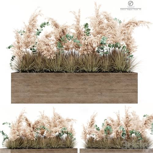 '3dsky Pro - Indoor Pampas Plant 02' '3dsky Pro - Indoor Pampas Plant 02'