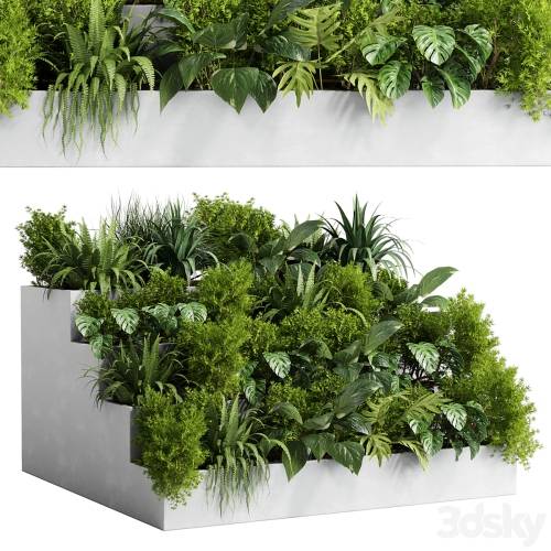 '3dsky Pro - Collection outdoor indoor plant 54 stairs concrete vase pot fern bush grass ficus rubbery' '3dsky Pro - Collection outdoor indoor plant 54 stairs concrete vase pot fern bush grass ficus rubbery'