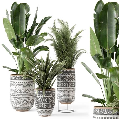 '3dsky Pro - Indoor Plants in rusty Concrete Pot - Set 628'