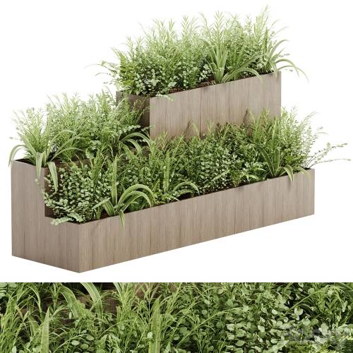 '3dsky Pro - indoor plant Set 21'
