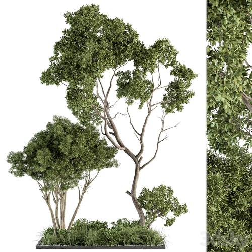 '3dsky Pro - Garden Set Broadleaf Tree - Outdoor Plants Set 360'