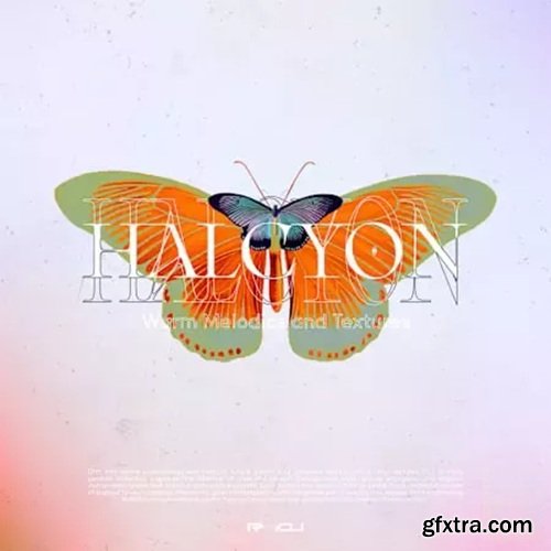 Renraku Halcyon Warm Melodics And Textures