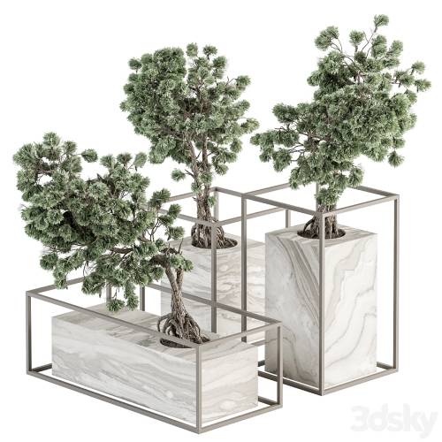 '3dsky Pro - indoor Plant Set 358 - Bonsai Set Plant in pot'